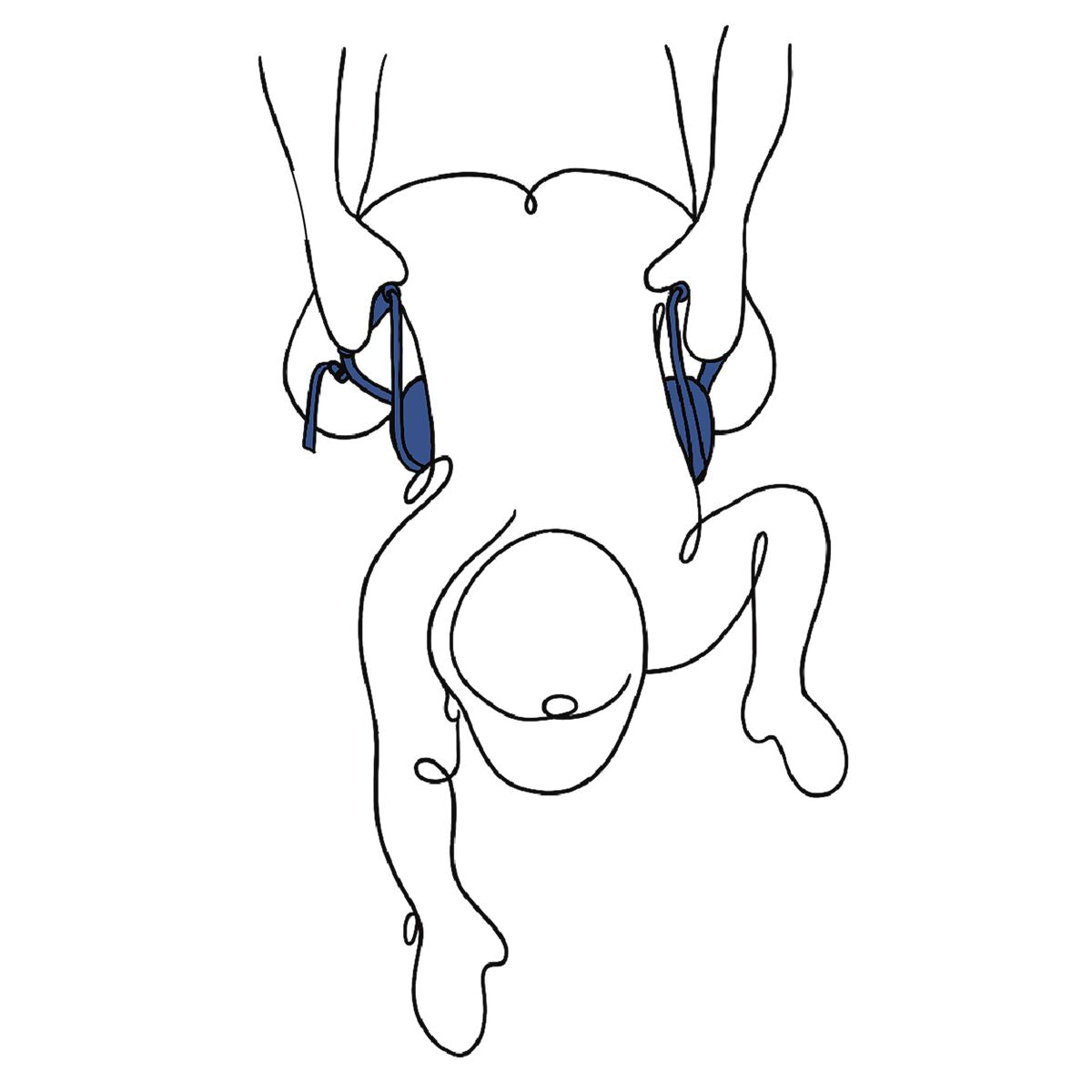 Kit di Corda Regolabile per Bondage Sportsheets Pivot