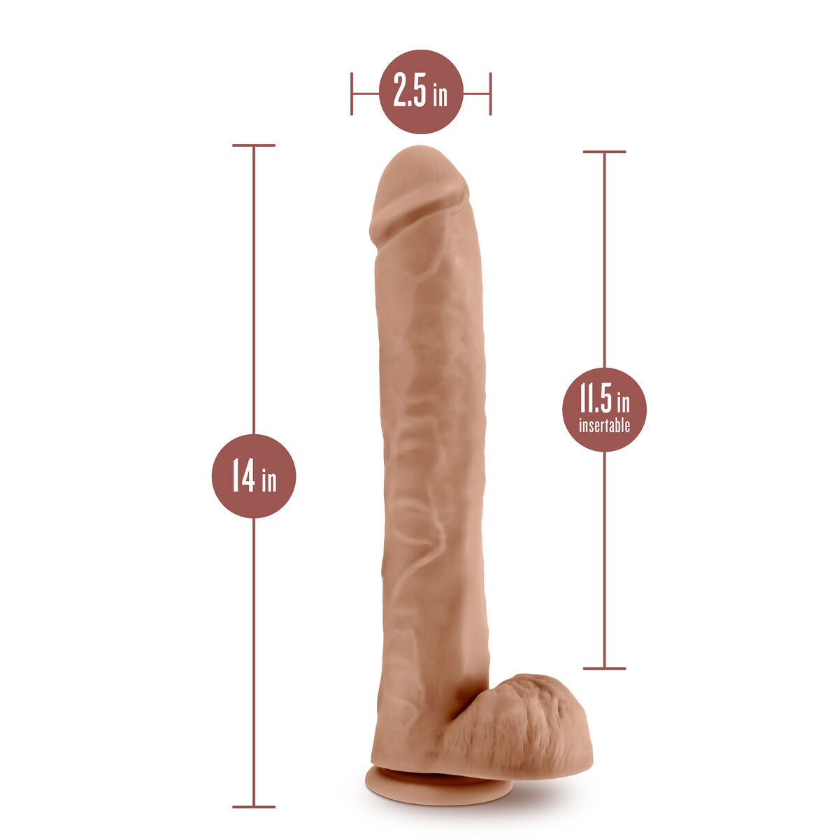 V1HF51DBC5A1B1B821BAECE5906D3B1BAF9RP5