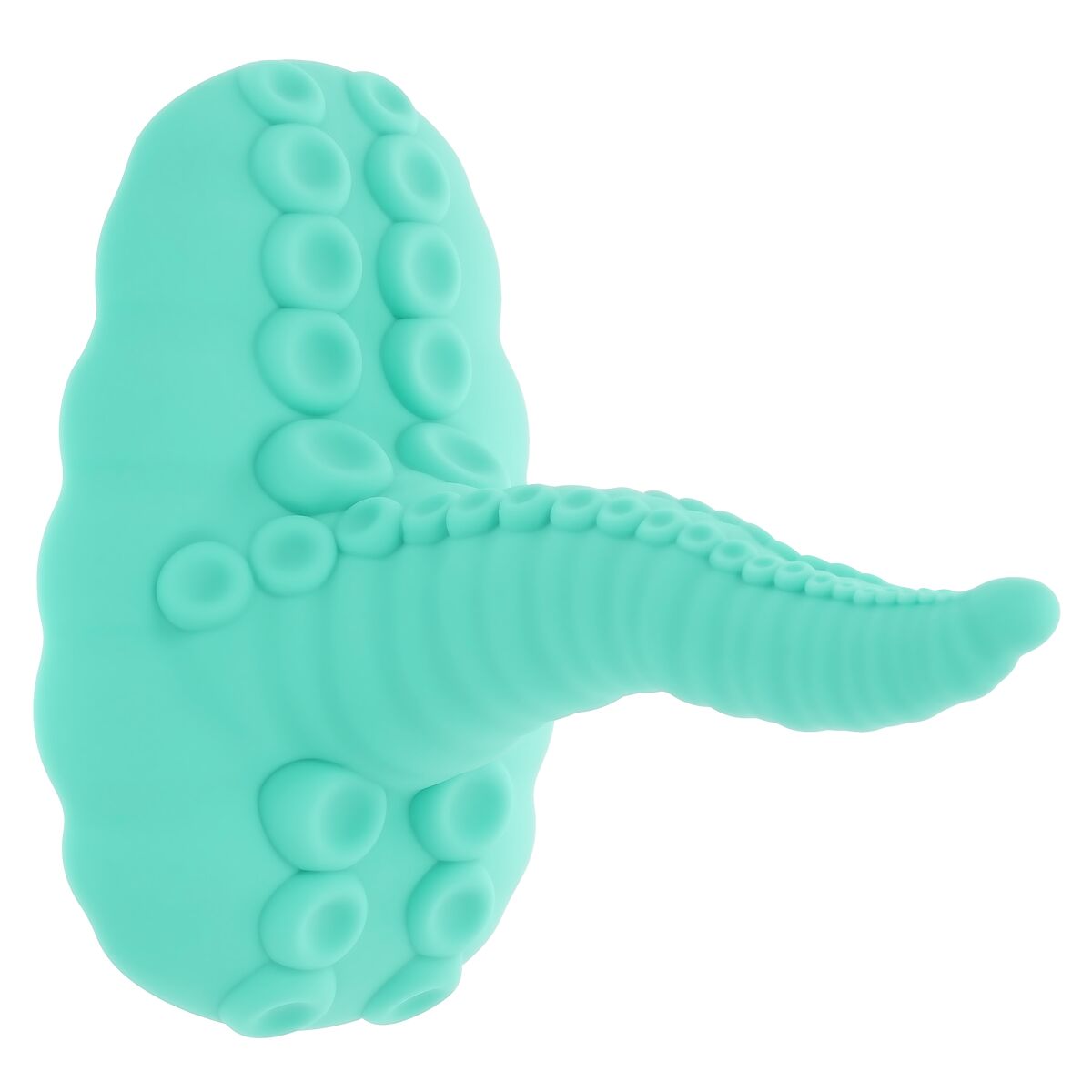 Plug Anale Evolved (12,7 cm)