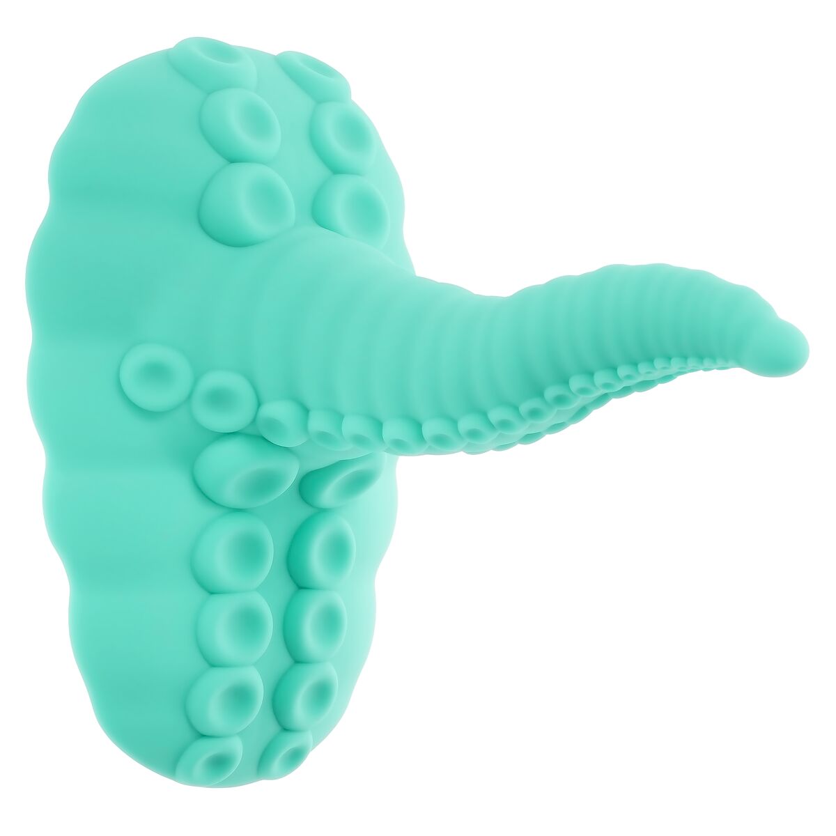 Plug Anale Evolved (12,7 cm)