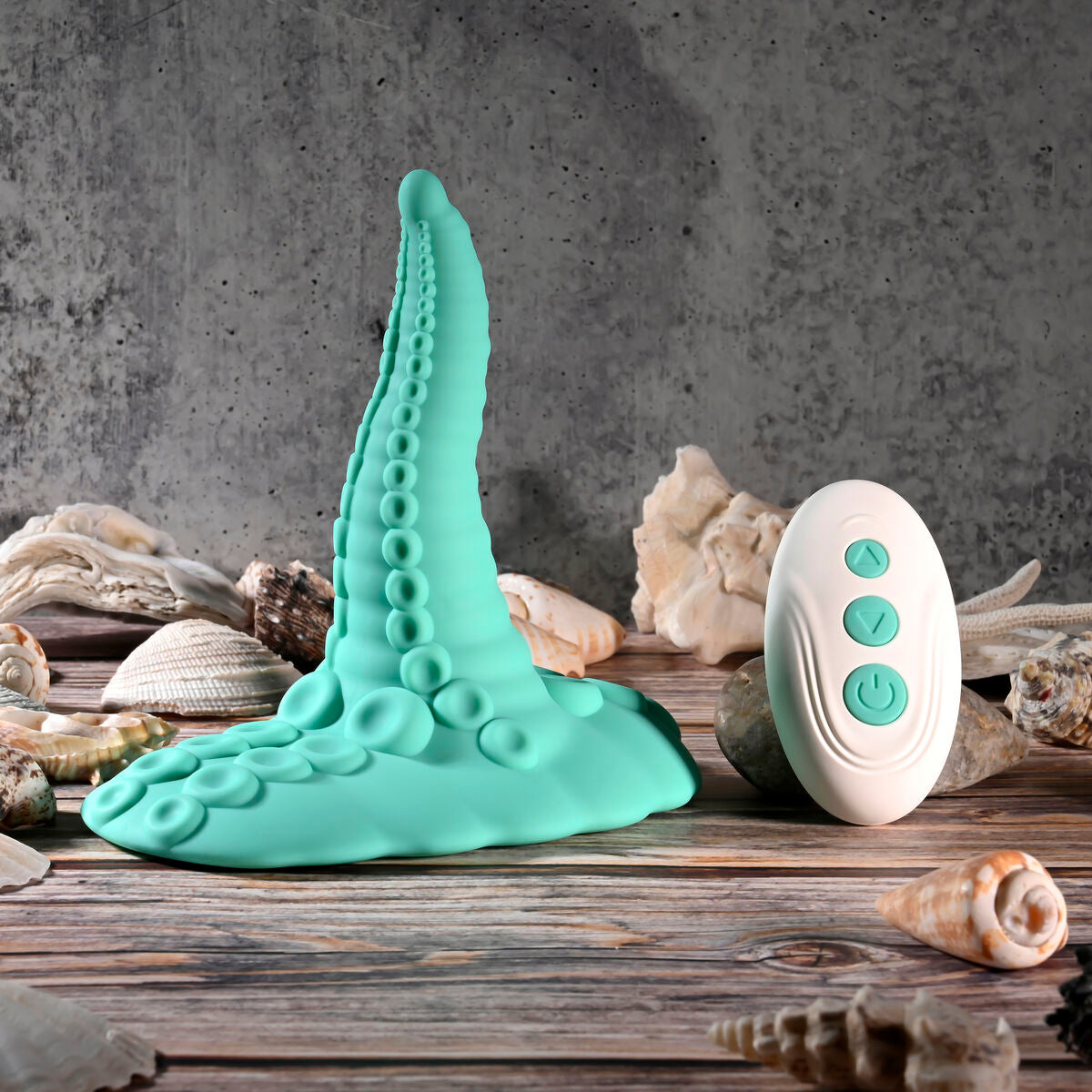 Plug Anale Evolved (12,7 cm)