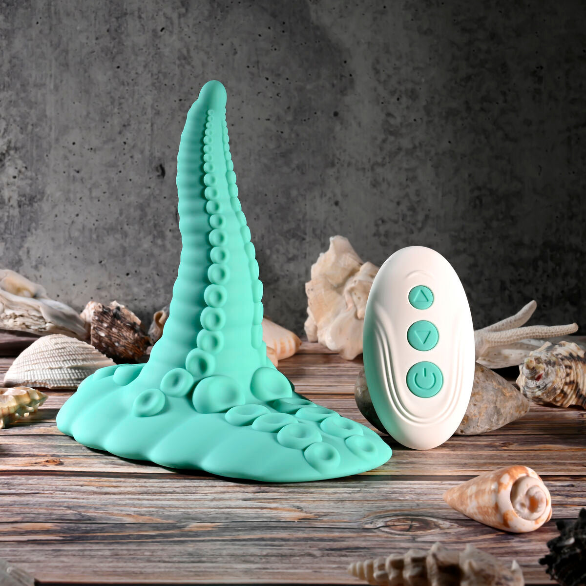 Plug Anale Evolved (12,7 cm)