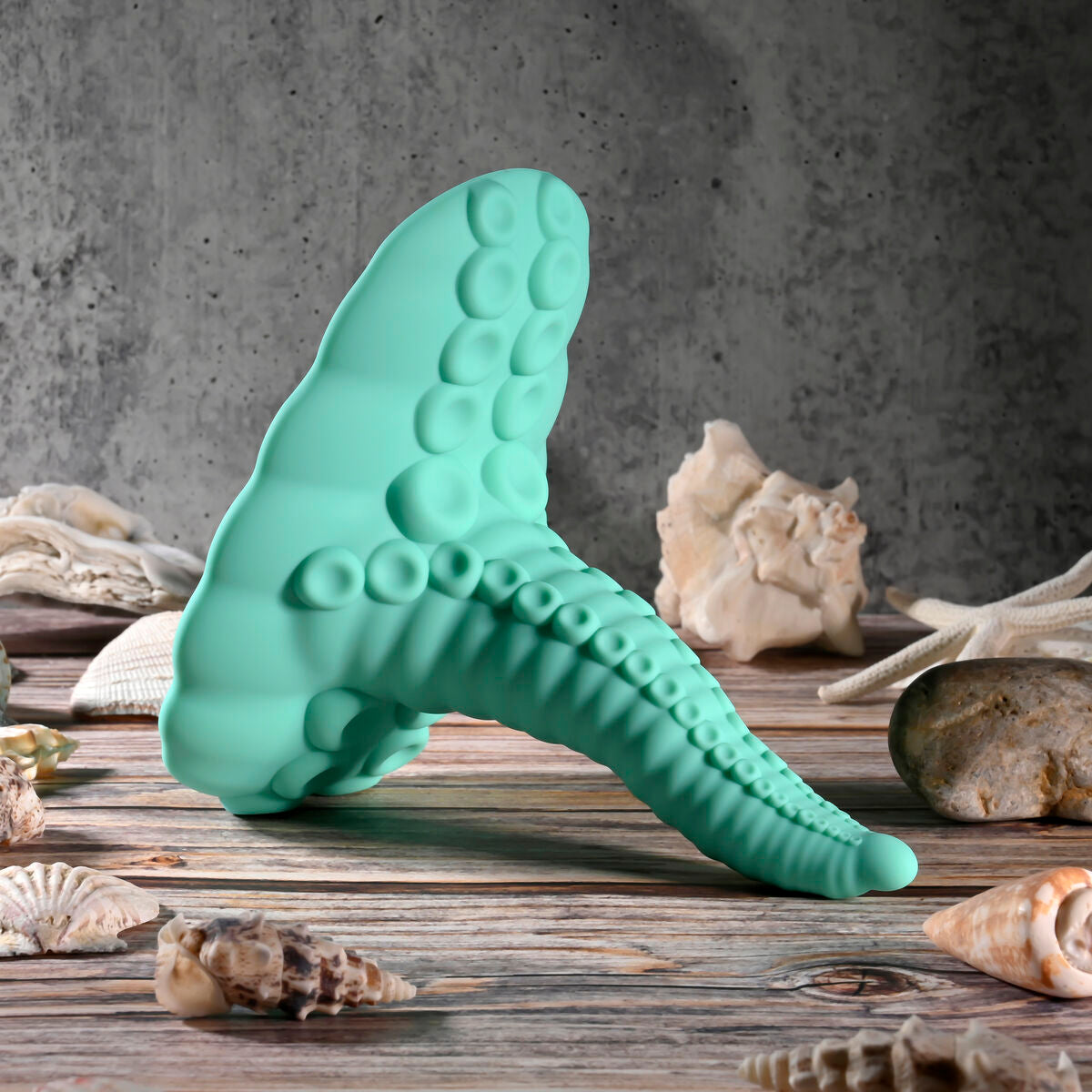 Plug Anale Evolved (12,7 cm)