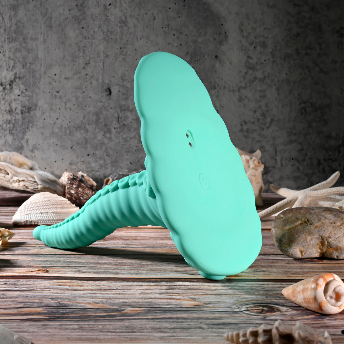 Plug Anale Evolved (12,7 cm)