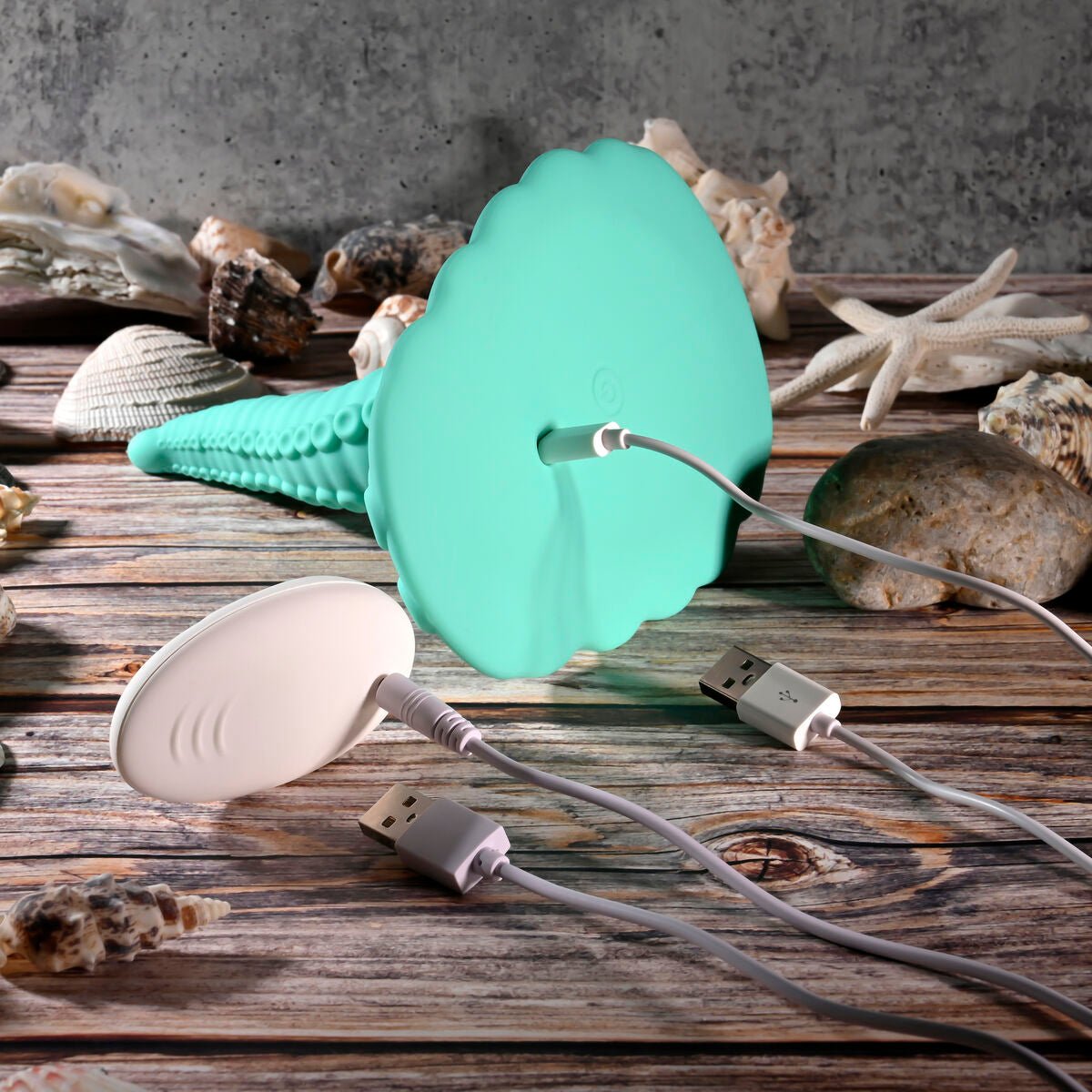 Plug Anale Evolved (12,7 cm)